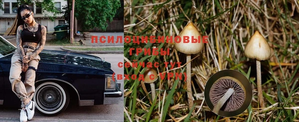 стафф Балахна