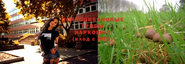стафф Балахна