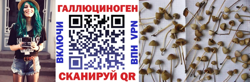 Псилоцибиновые грибы мухоморы  Купить  Дагестанские Огни 